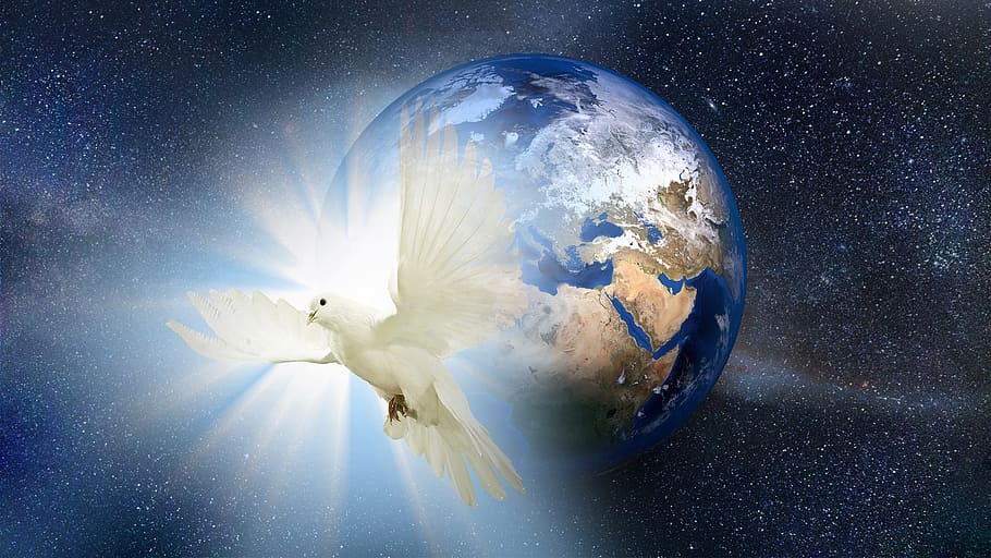 merpati, perdamaian, global, dunia, alam semesta, burung, putih, simbol, dom, harapan