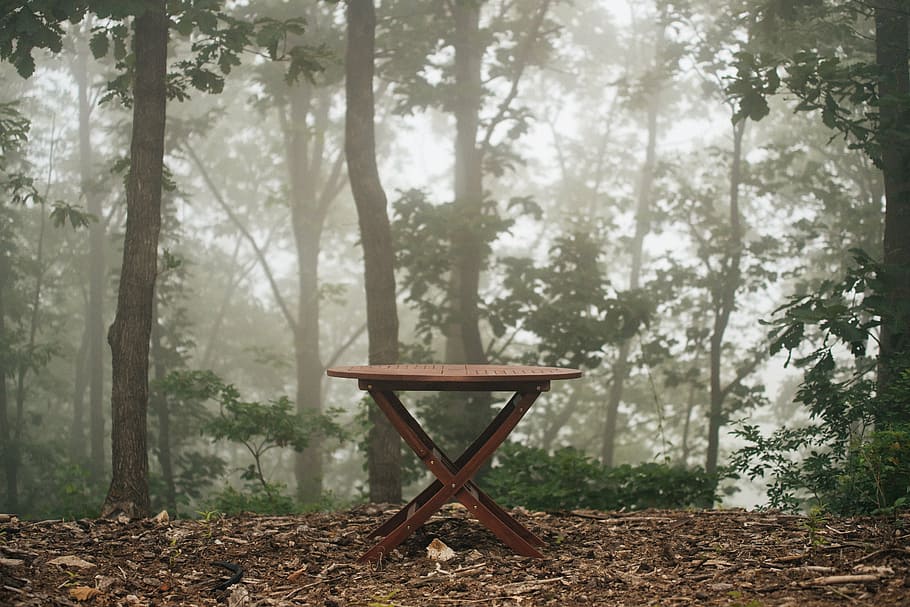 brown, wooden, folding, table, withered, leaves, bench, outdoor, outdoor furniture, garden