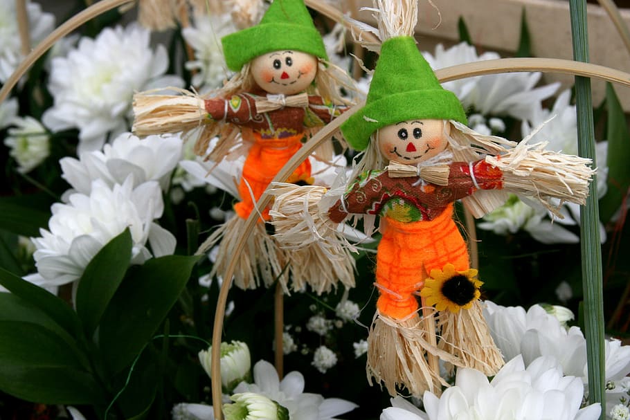 scarecrow, couple, flower, white, spring, representation, human representation, art and craft, flowering plant, toy