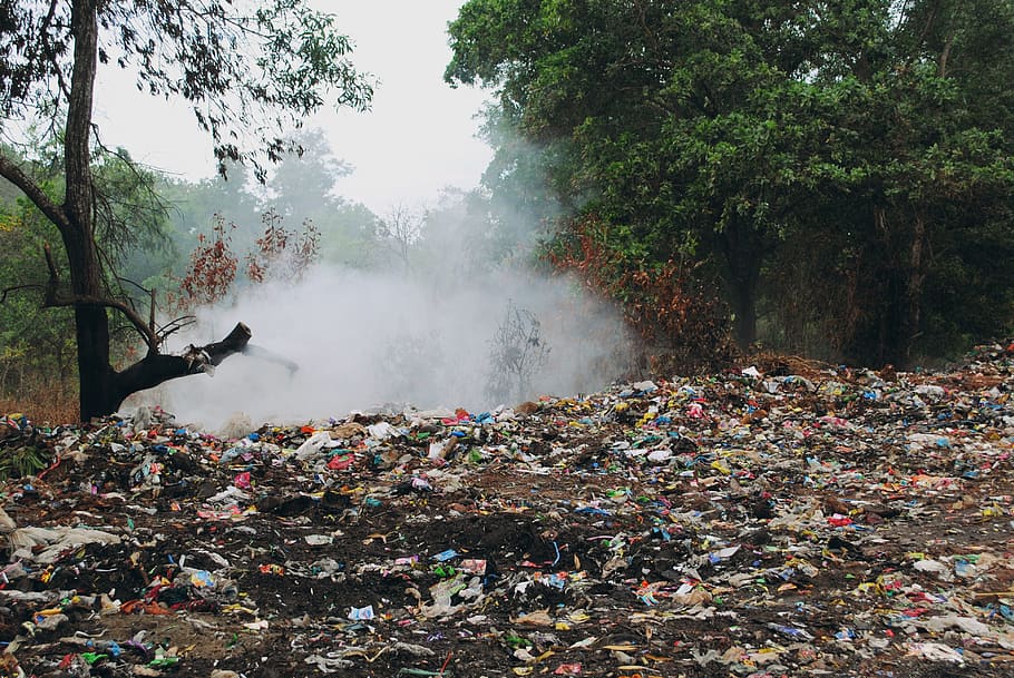 フィールド, いっぱい, ゴミ箱, ゴミ, 臭い, ゴミ捨て場, 森, 煙, におい, 廃棄物
