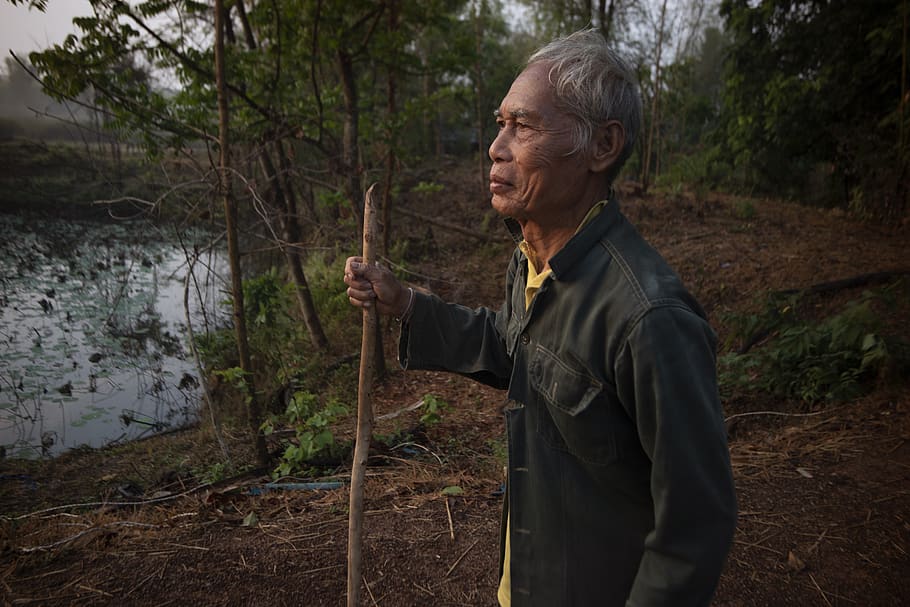 homem de fazenda, fazendeiro tailandês, agricultura, árvore, uma pessoa, adulto sênior, pessoas reais, estilos de vida, plantar, floresta