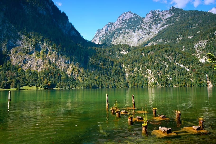 danau, Königssee, investor, sakit, tua, Bergsee, bavaria, pemandangan, idilis, alpine