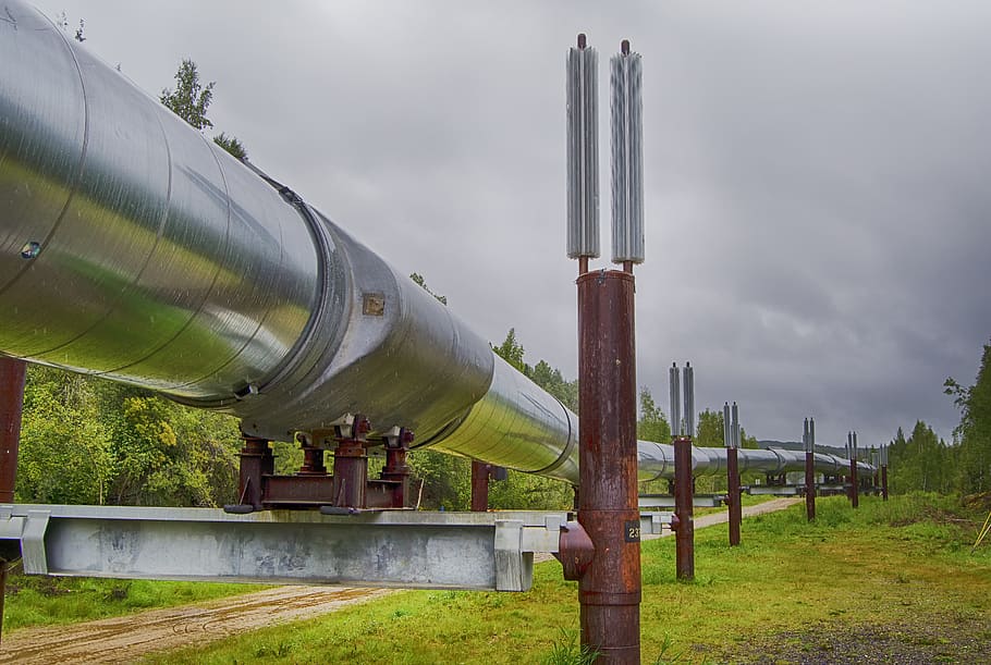 pipeline, alaska, engineering, oil, alaska pipeline, trans-alaska pipeline, crude oil pipeline, prudhoe bay to valdez, permafrost, energy
