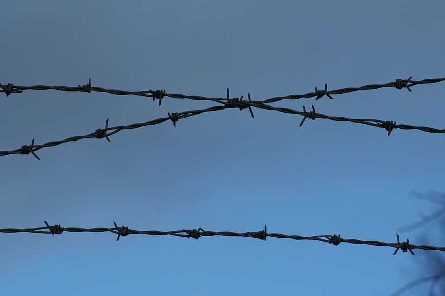 barbed wire, metal, fence, safety, protection, security, wire, barrier, boundary, sky