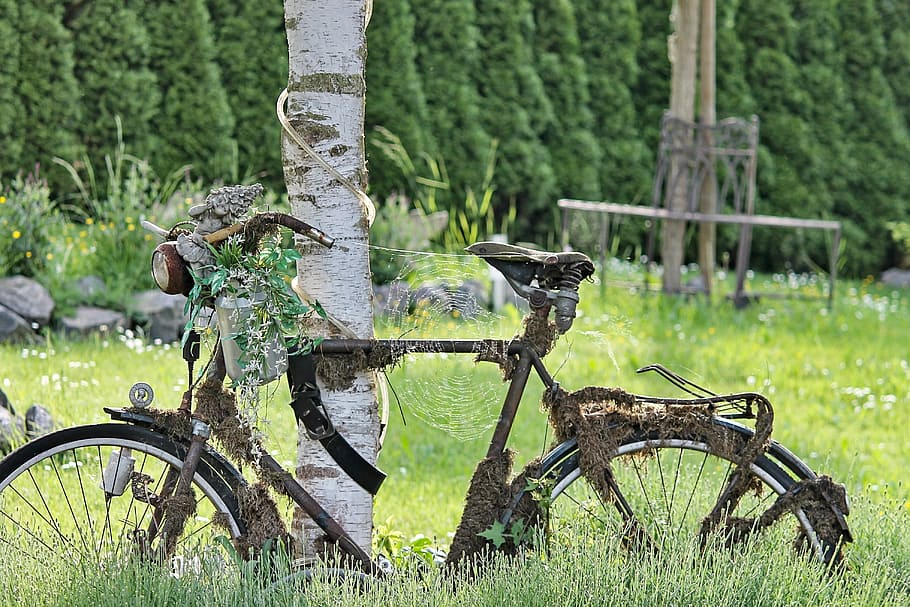 black, road bicycle, tree trunk, bike, rusty, overgrown, decoration, spider webs, old, garden decoration