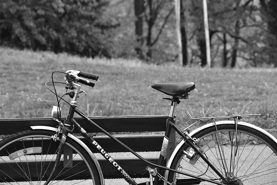 bicycle, bike, cycling, retro, saddle, vintage, handlebar, locomotion, rays, transportation