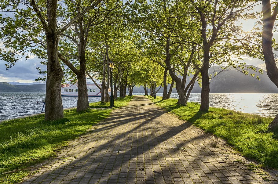 green, boat, trees, path, shadows, lake, water, landscape, harmony, outdoor