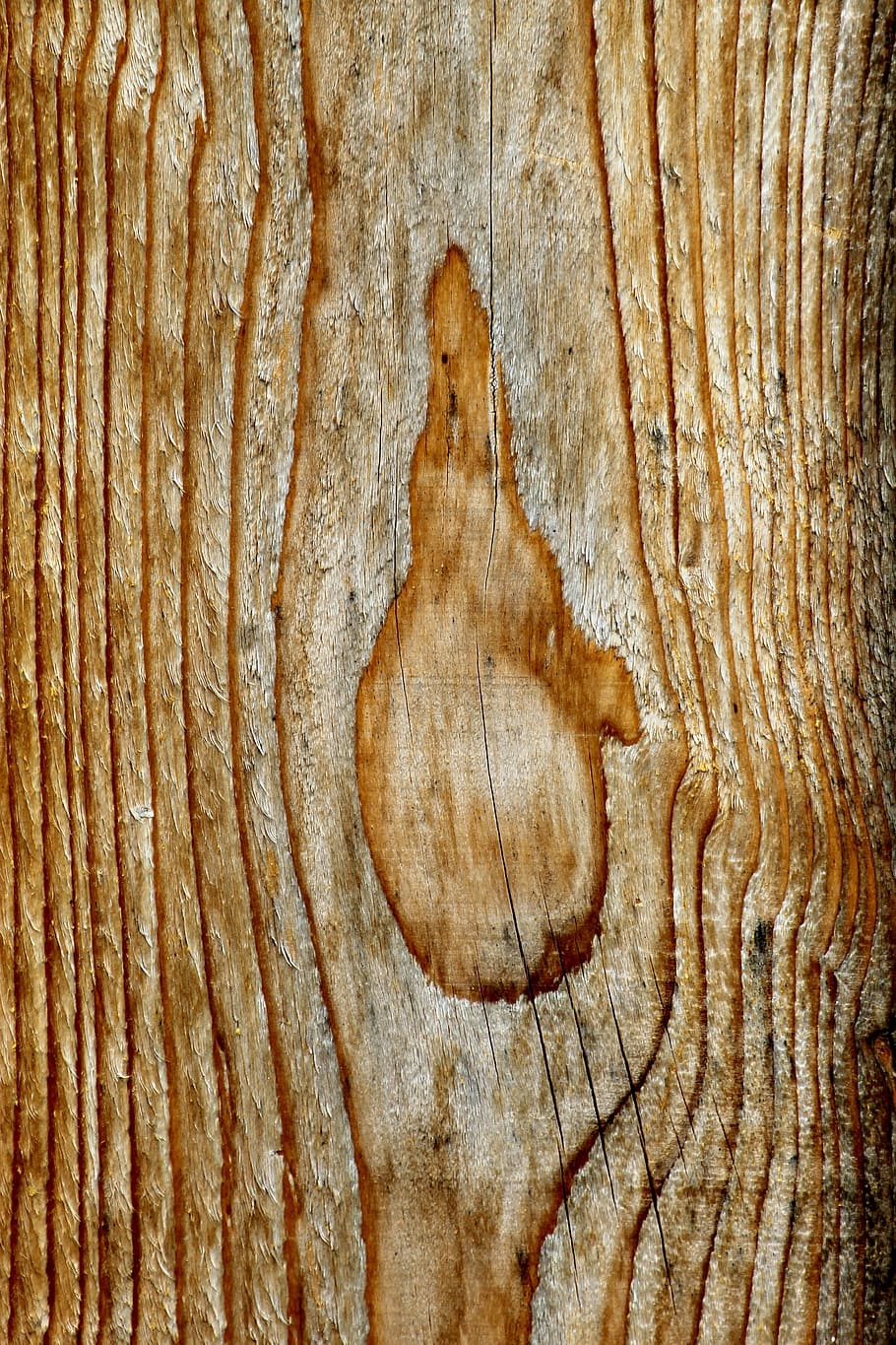 Wood, Timber, Material, Sample, Grain, structure, nature, wood - material, textured, backgrounds