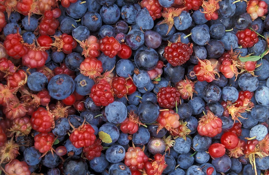 blue, berry lot, blue berry, lot, fruits of the forest, blackberries, blueberries, raspberries, currants, wild