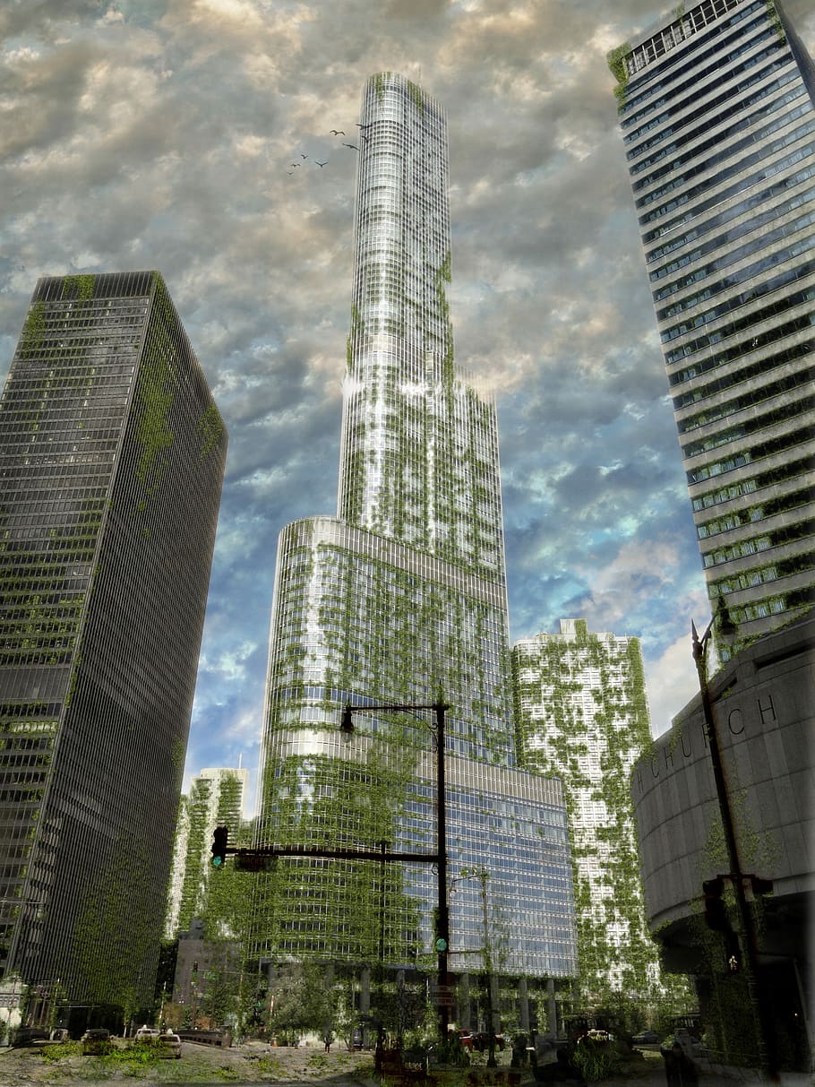 skyscraper, city, architecture, cityscape, office, nature, regeneration, armageddon, building exterior, built structure