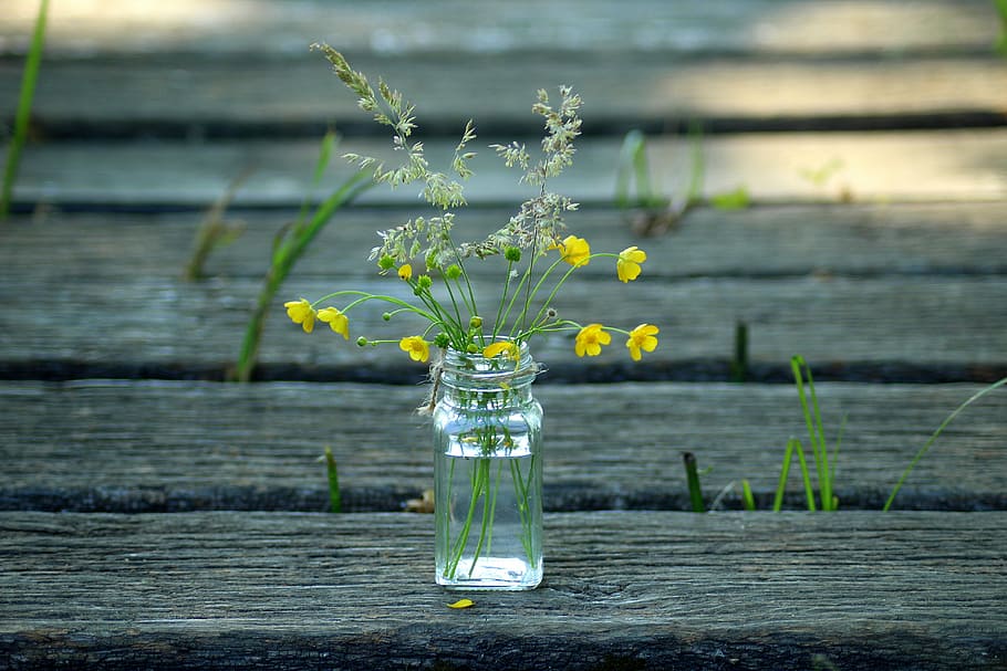 yellow, white, flowers, vase, wildflowers, bouquet, nature, herb, delicate, spring