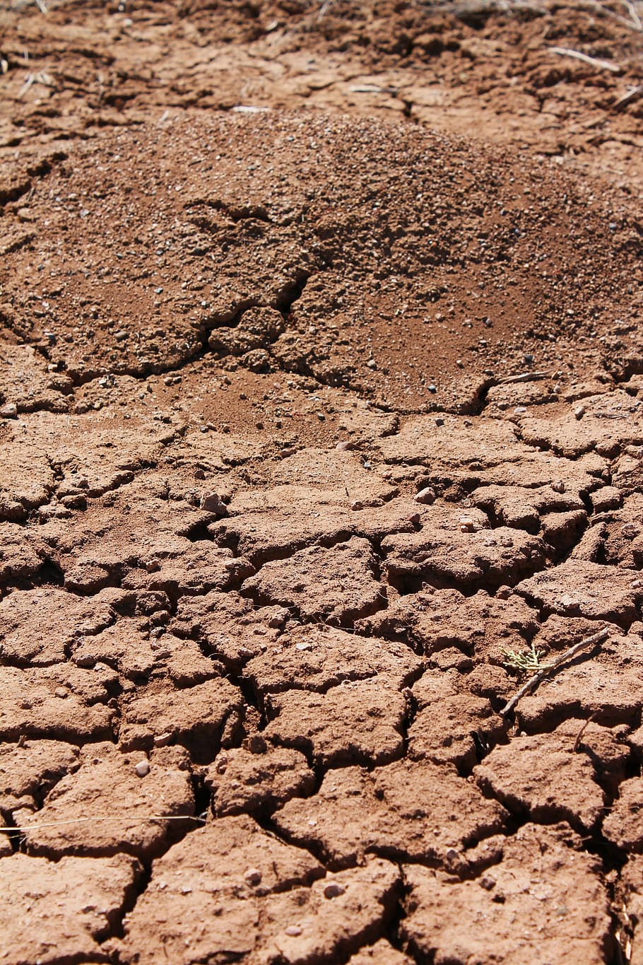 ant hill, cracked earth, ground, soil, parched soil, crack, land, desert, dirt, drought