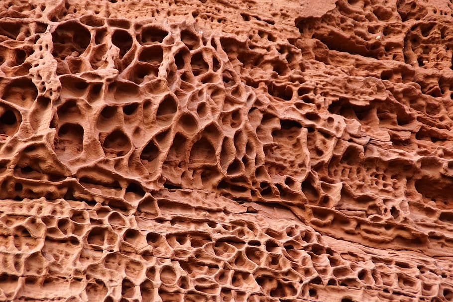 Sandstone, pierre, pink sandstone, alsace, erosion, macro, vosges, full frame, close-up, backgrounds
