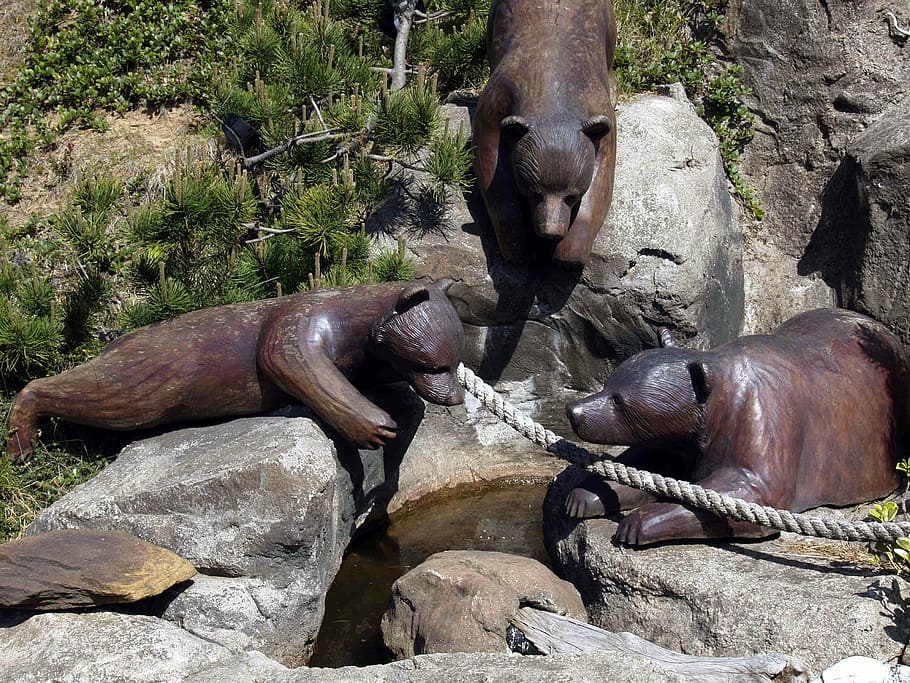 oso, madera, tallado, artesanía, escultura, peluche, animales, arte, Oregon, Estados Unidos