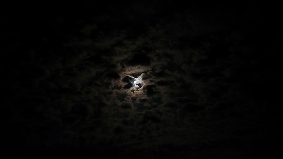 nature, darkness, night, moon, dark, sky, gloomy, illuminated, black background, one animal