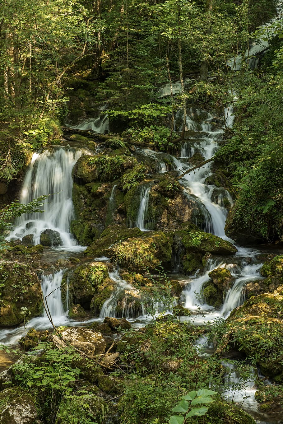 time-lapse photography, waterfalls, waterfall bear protective gorge, austria, styria, water, spray, forest, landscape, nature