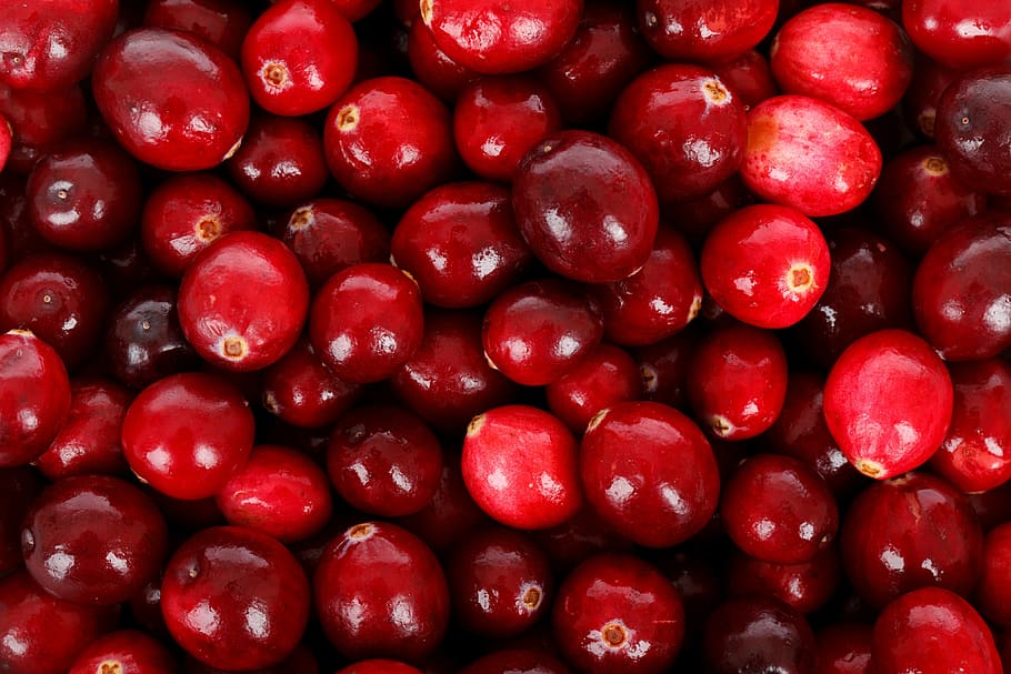 close-up, pile, red, fruits, backdrop, background, berry, cranberry, diet, eating