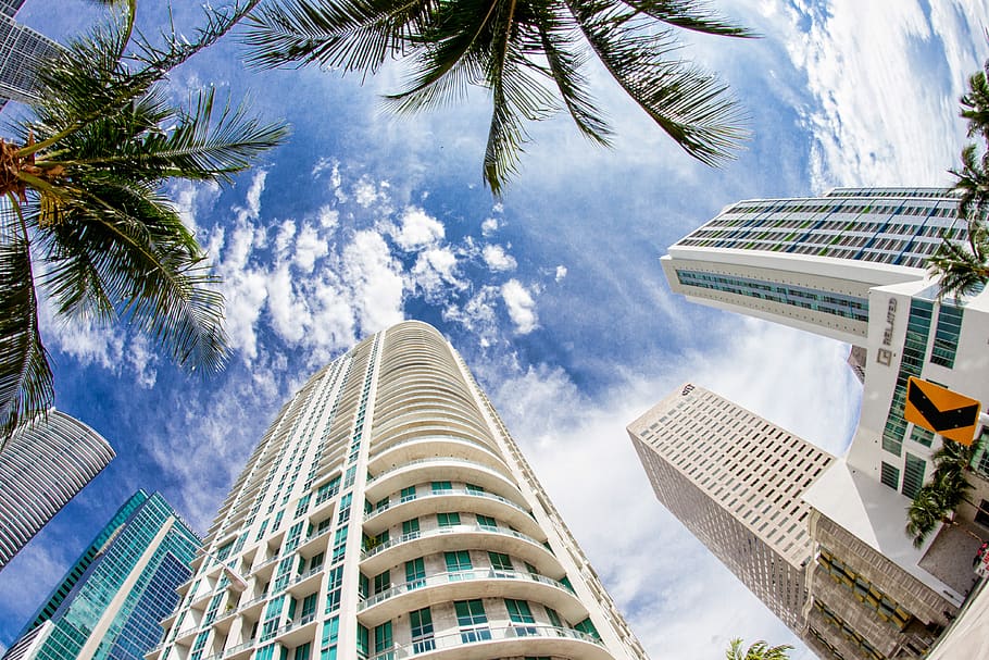 cities, miami, palm tree, tropical climate, architecture, building exterior, tall - high, built structure, tree, city