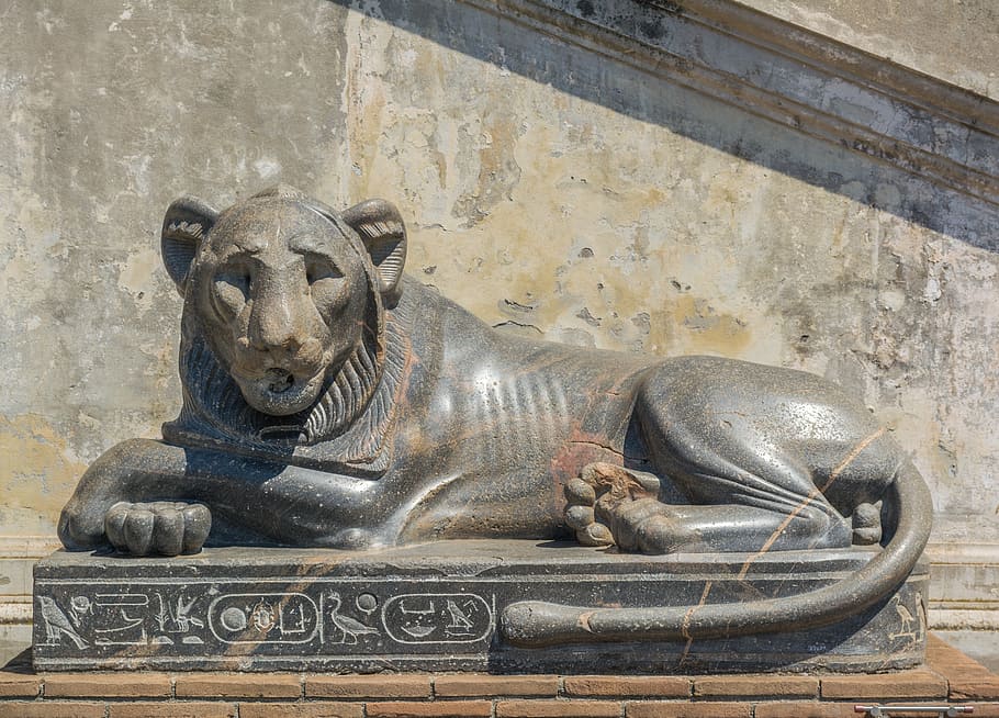 lying feline statue, lioness, sculpture, ancient egypt, the vatican, italy, rome, representation, art and craft, statue