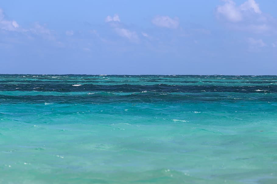república dominicana, mar sargisova, viaje, mar, sol, playa, vacaciones, estado de ánimo, belleza, paisaje