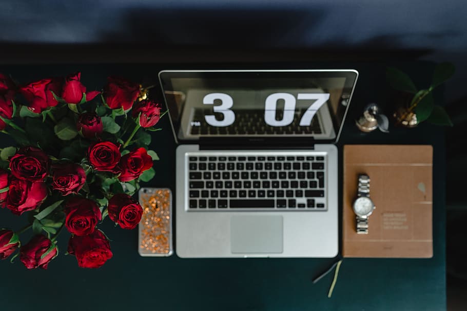 female, flowers, rose, workspace, workplace, computer, macbook, technology, red roses, work