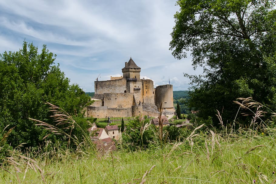 castle, france, périgord, castelnaud-la-chapelle, plant, tree, architecture, built structure, nature, sky