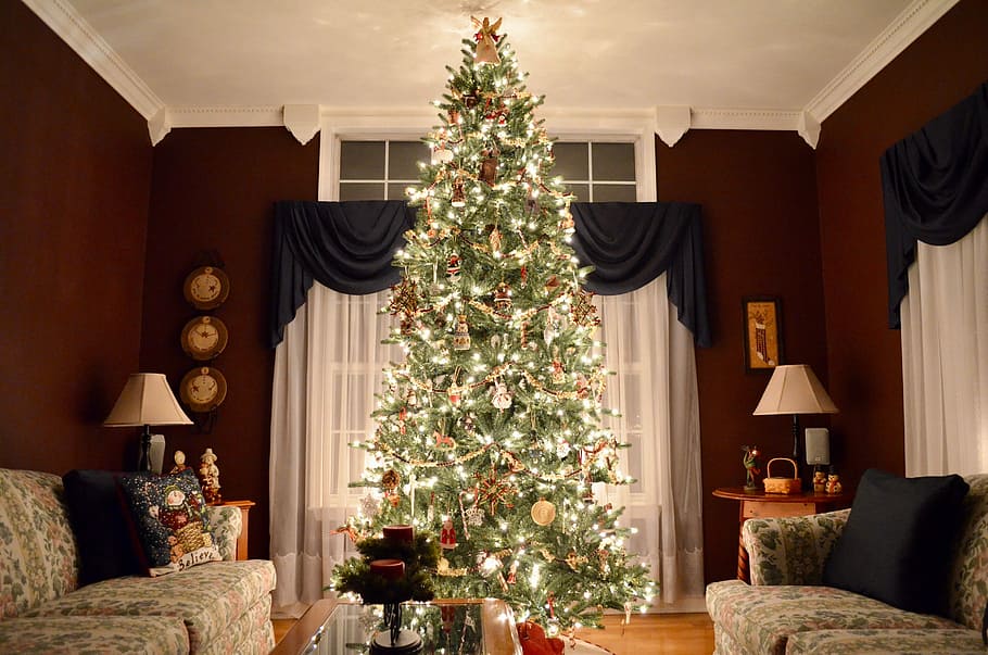 Christmas, Tree, Christmas Tree, christmas, tree, decoration, ornament, seasonal, season, indoors, domestic Room