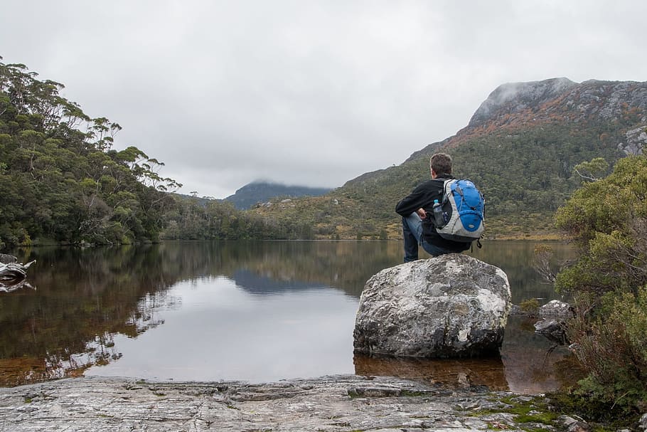 Gunung Cradle, Tasmania, danau lilla, alam, hutan belantara, di luar ruangan, satu orang saja, gunung, satu orang, hanya pria