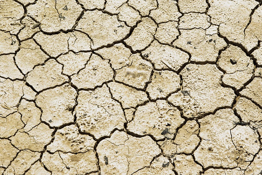 乾燥した土壌, 干ばつ, 地球, 砂漠, 乾燥, 土地, 自然, 土, 乾燥気候, ひび割れ