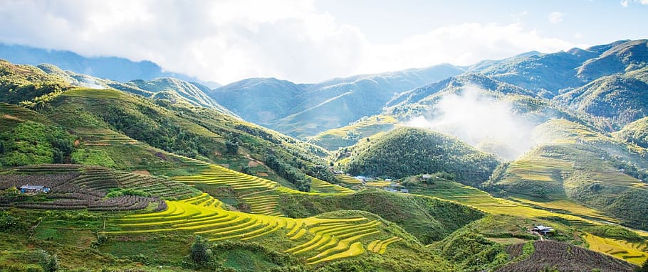 sapa, vietnam, adolescentes asiáticos, paisaje, pintorescos - naturaleza, medio ambiente, montaña, tierra, escena rural, agricultura