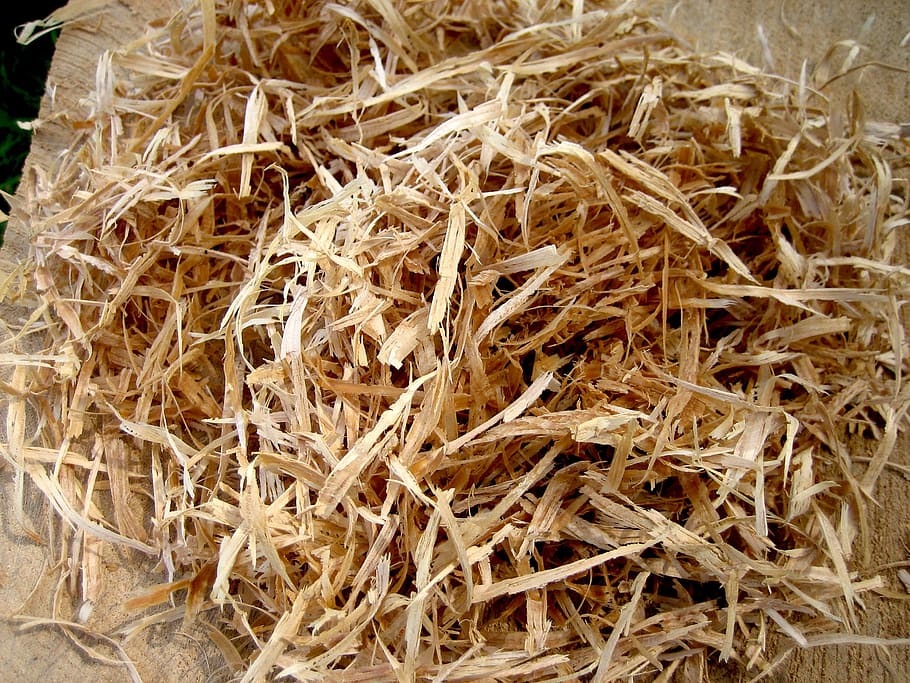 wood, wood chips, chips, wood cutting, wood splitter, planer, planed, high angle view, close-up, freshness