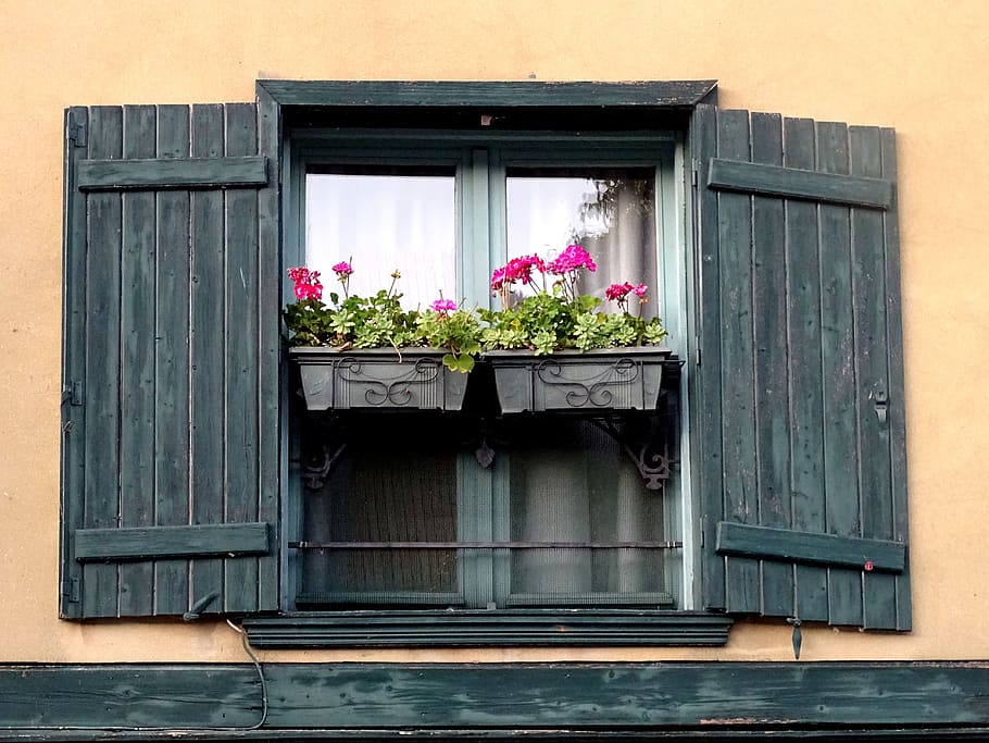 house, window, shutters, flower box, amiens, architecture, building, facade, city, downtown