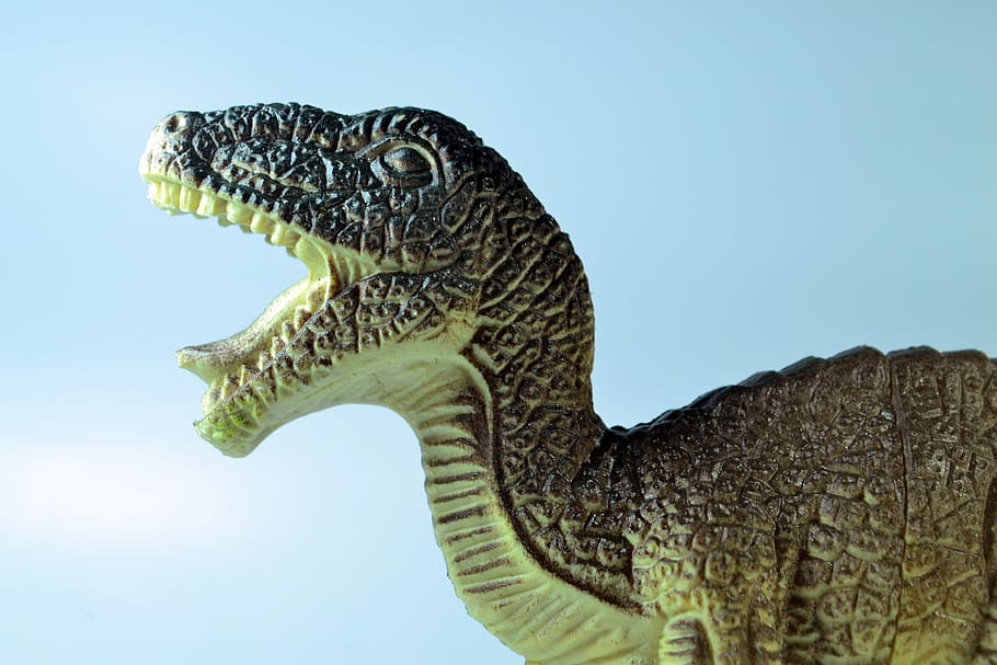 green t-rex toy, dinosaur, tyrannosaurus, toy, animal, jurassic, predator, reptile, icon, symbol