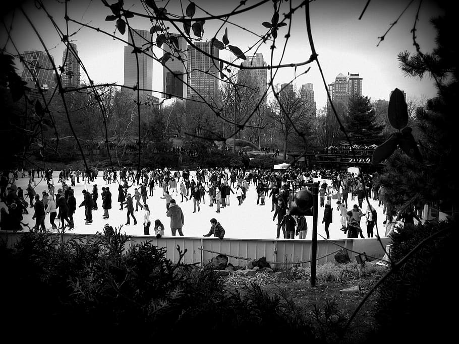Rink, Central Park, Park, Lake, sky, park, lake, ice skating, winter, large group of people, crowd