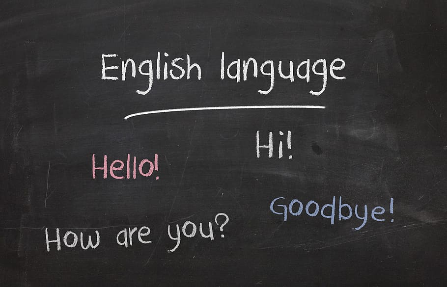 bahasa inggris, halo !, hai !, teks, bahasa, belajar, sekolah, pendidikan, internasional, tata bahasa