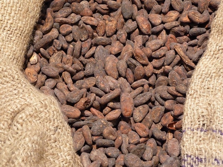 food, lot, beans, bag, close up, grains, seeds, pod, cocoa, chocolate