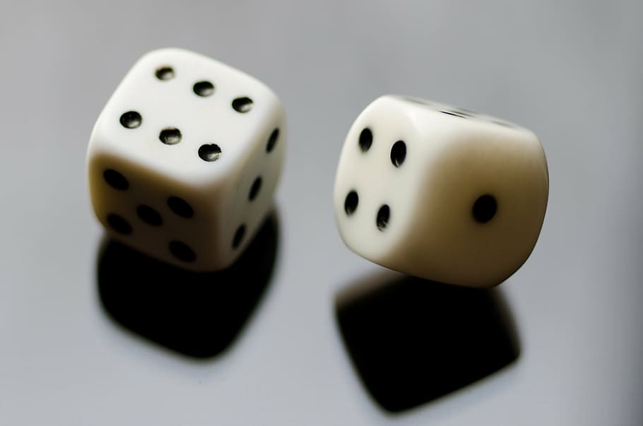 two white dices, two, white, dices, dice, game, numbers, gambling, two objects, luck