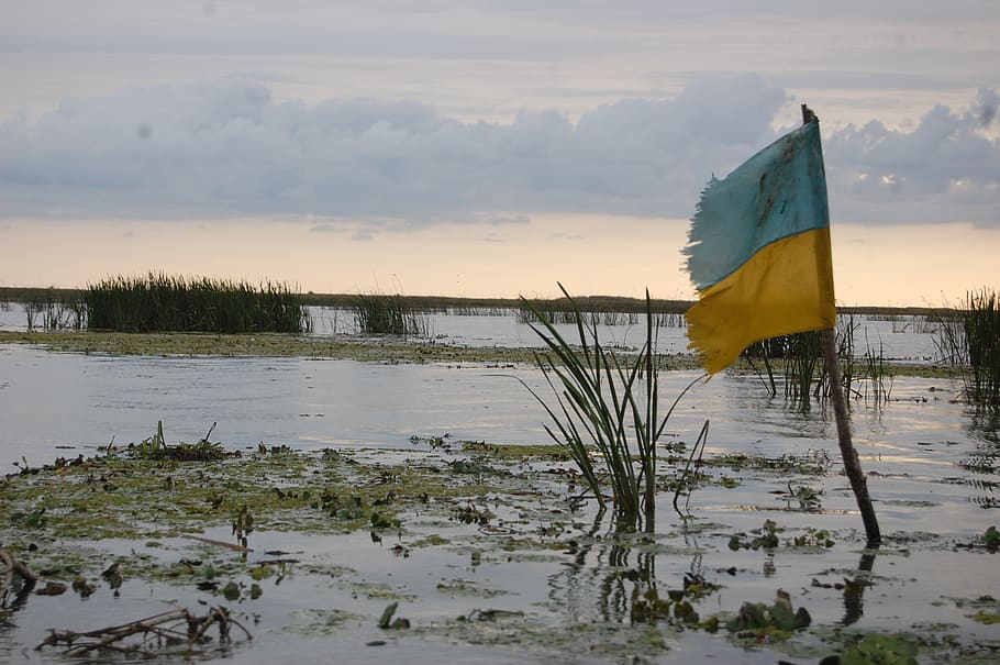 flag, ukraine, swamp, danube, ukrainian, ukrainian flag, river, water, nature, lake
