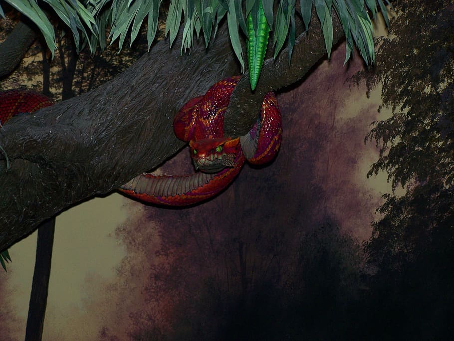 Satan Evil Serpent Eden Garden Temptation Zoo Display Tree