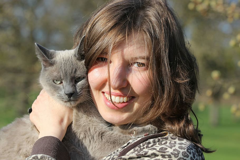 woman, smiling, holding, gray, cat, portrait, young woman, of course, face, human