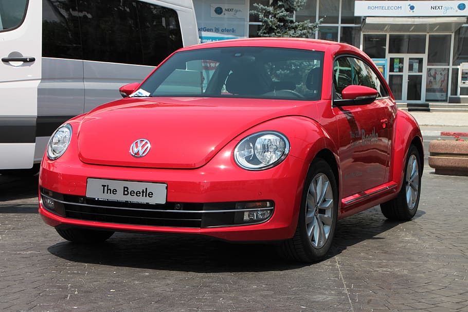 red, new, beetle coupe, parked, next, white, vehicle, daytime, Volkswagen, Car