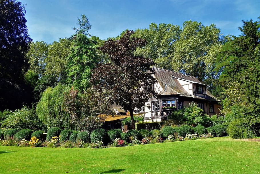 strasbourg, tree, house, lawn, turf, summer, nature, hedge, plants, green