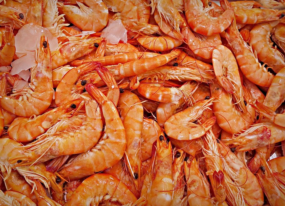 bunch of shrimp, shrimp, prawn, animal, seafood, decapod crustaceans, cooked, food, nutrition, eating