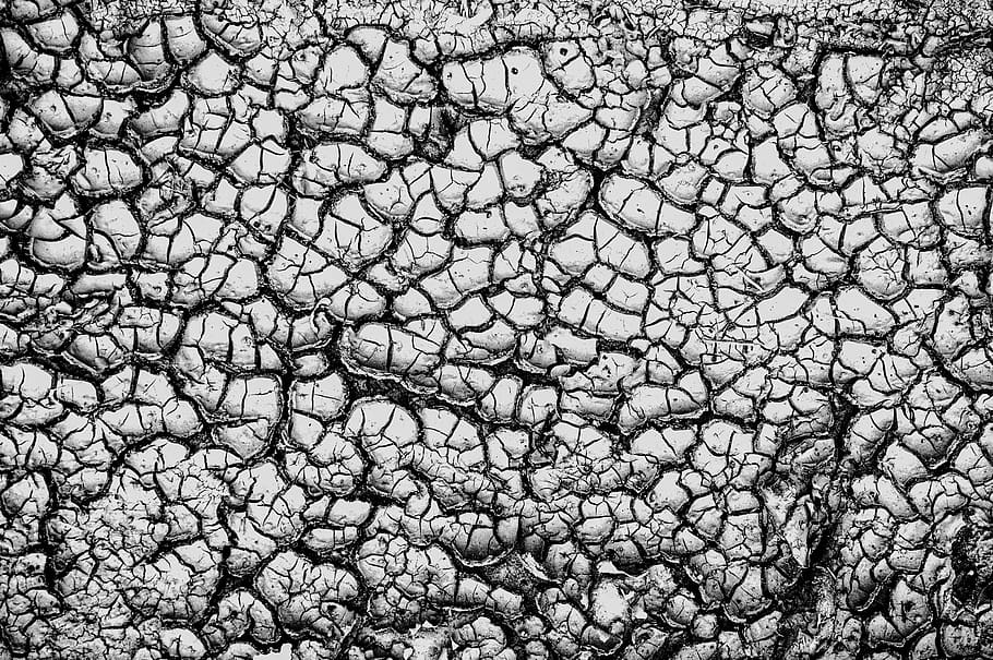 drought, earth, dirt, dehydrated, cracks, dry, soil, nature, structure, texture