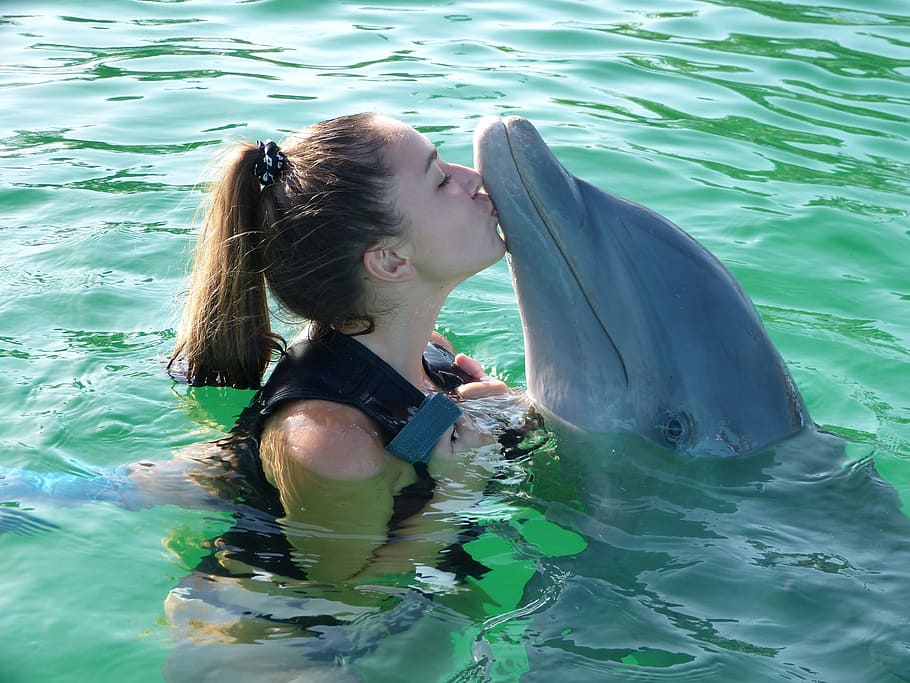 girl, black, personal, flotation device, kissing, dolphin, margarita island, venezuela, fun, sea