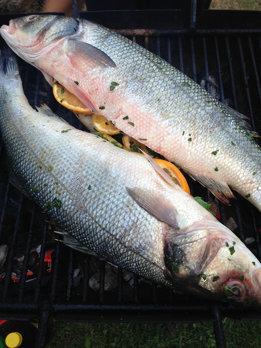 fish, grill, seabass, benefit from, food, fire, grilling, barbecue, food and drink, vertebrate