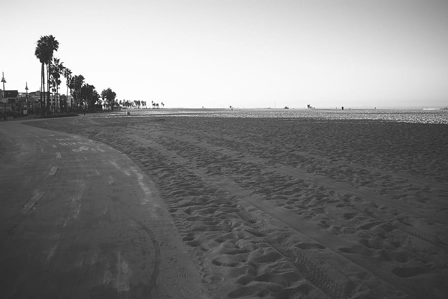 grayscale photography, seashore, roadway, gray, sand, beach, palm trees, water, ocean, sea