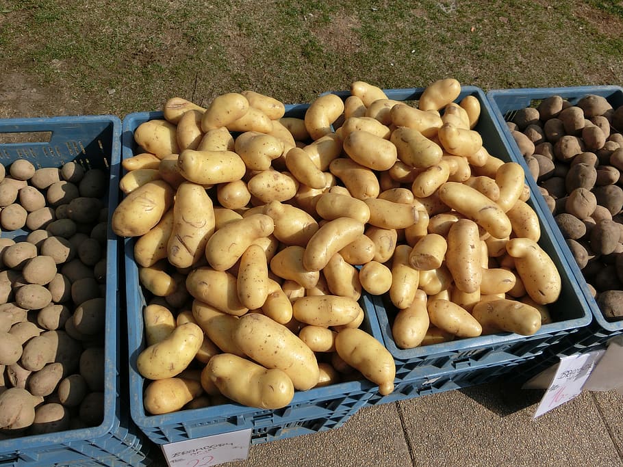 potatoes, market, vegetables, food, boxes, large group of objects, food and drink, freshness, potato, container