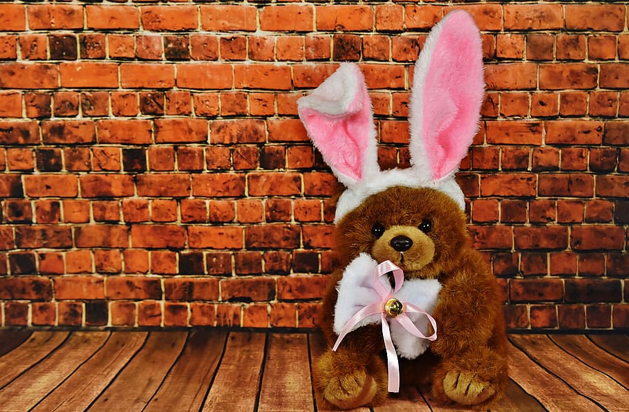 Easter Bunny, Greeting Card, Cute, easter, funny, teddy, rabbit ears, happy easter, brick wall, costume