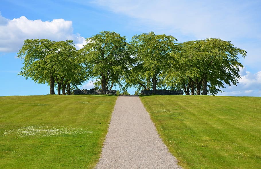 trees, Pathway, grass, path, public domain, sky, nature, tree, green Color, outdoors